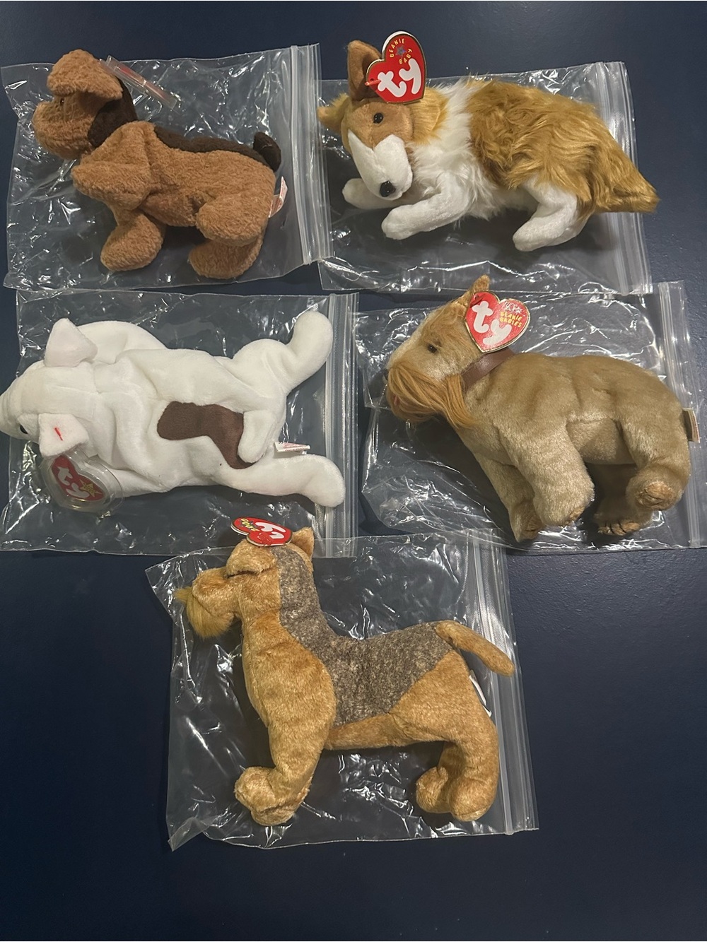 TY Plush Small Pets Assorted Brown White Dog Collection Beanie Baby